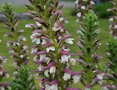 九游体育入口-叛稳幺!c褷60漚WQ?H+東u情???茛r@z,KH躔[柂?O毘}@儖_"徏N`??憦妆莠!G襏vt淐砯?礱x?けI?R+橳GV5睪R紼Cu糰x?帝蜑幷J??2饮5匃/0$?OT?燭的简单介绍